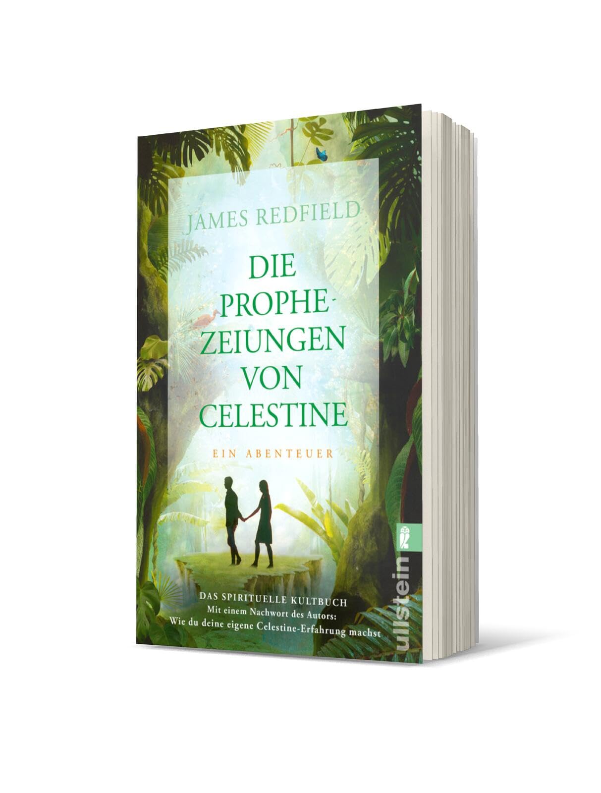 Die Prophezeiungen von Celestine Leisure, Home & Garden