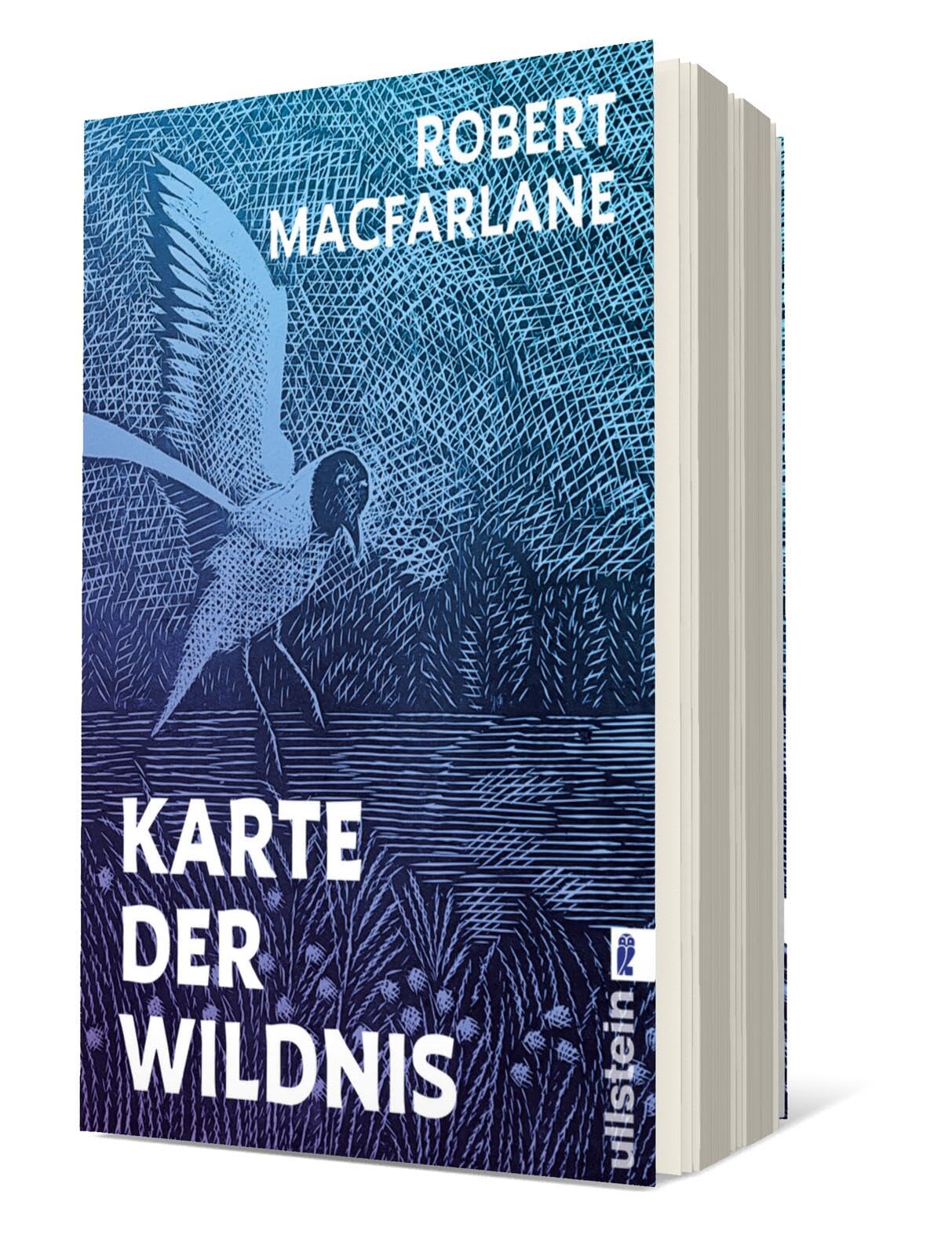 Product Image: Karte der Wildnis
