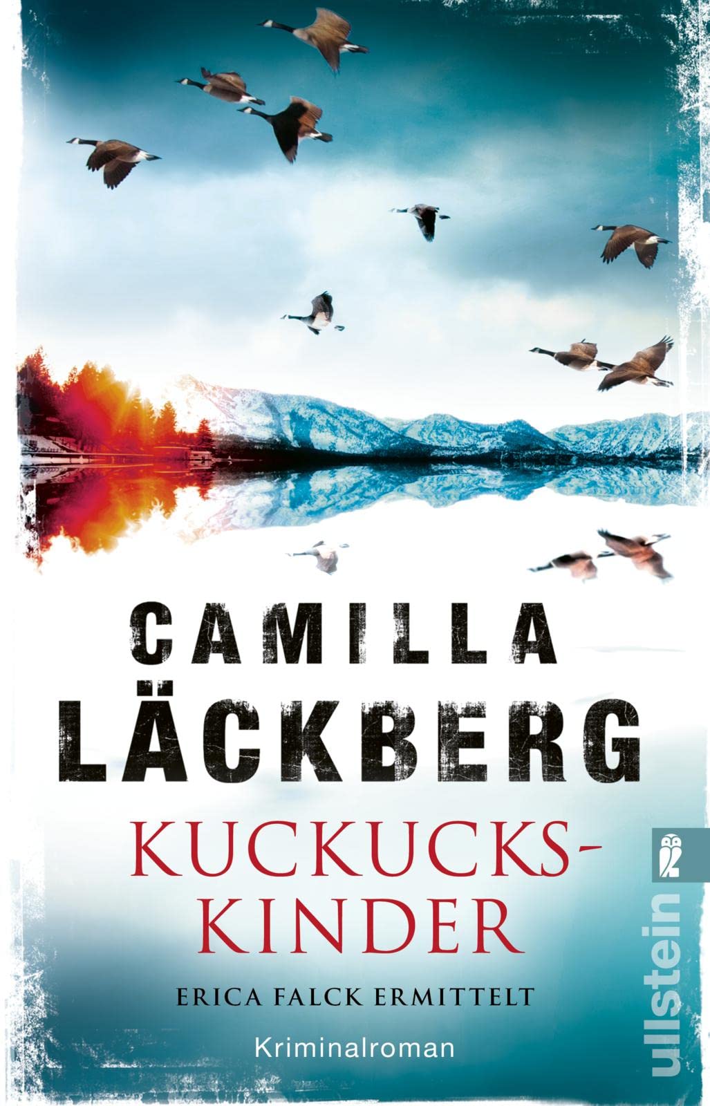 Kuckuckskinder Contemporary literature Books