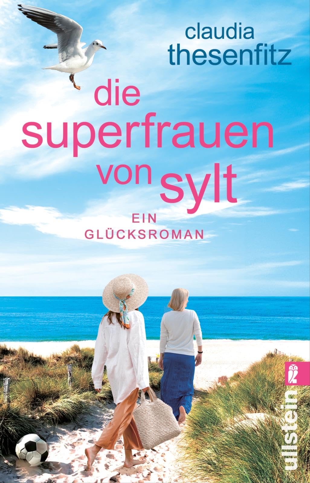 Die Superfrauen von Sylt Contemporary literature