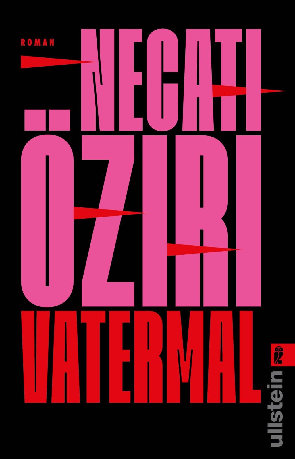Vatermal: Roman | Gewinner Literaturpreis Ruhr 2024 Contemporary literature
