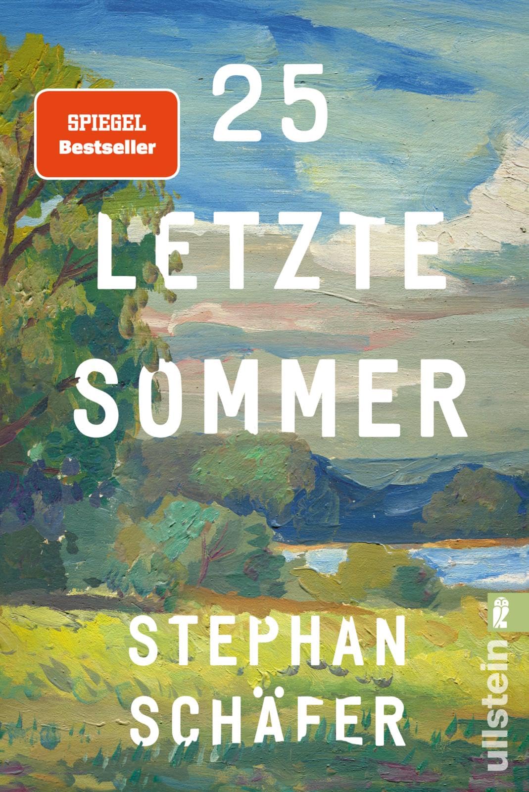 25 letzte Sommer Contemporary literature Books