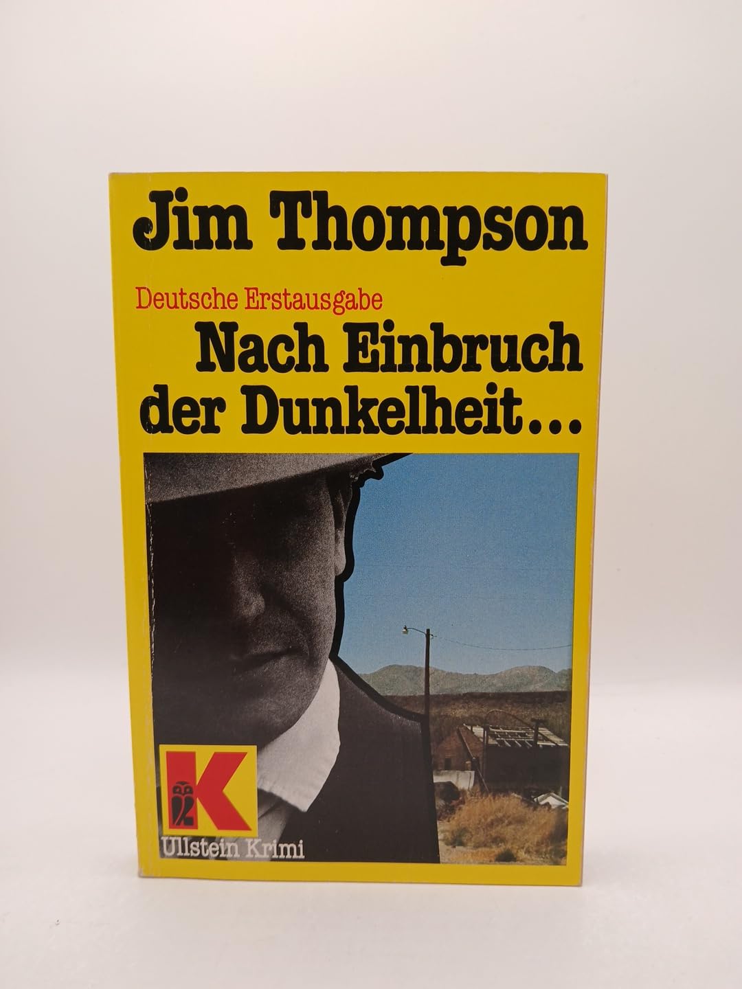 Nach Einbruch der Dunkelheit. Hasse mich, Liebling, damit du mich töten kannst. Crime & Thrillers
