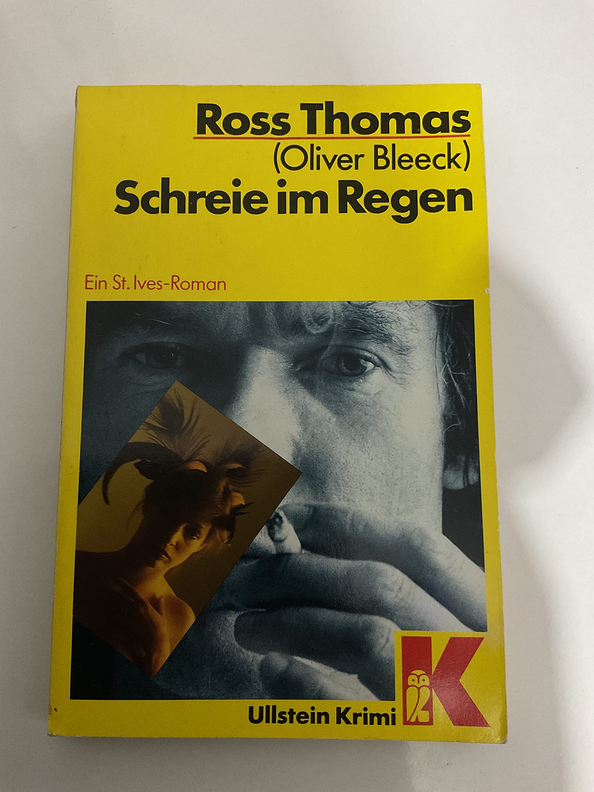 Schreie im Regen (Ullstein Kriminalliteratur und Thriller) Crime & Thrillers
