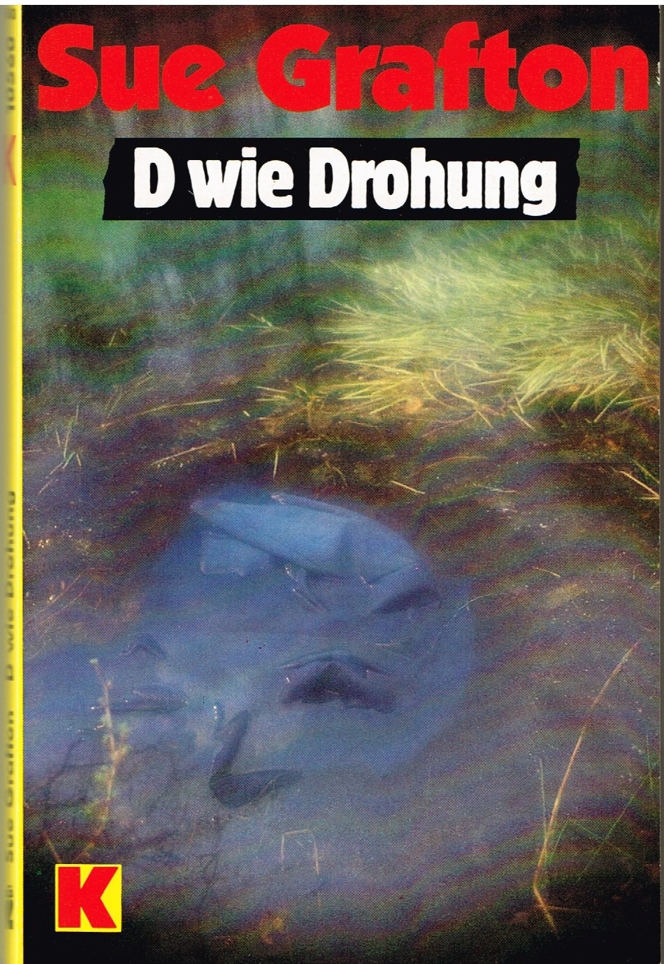 D wie Drohung (Ullstein Taschenbuch) Books