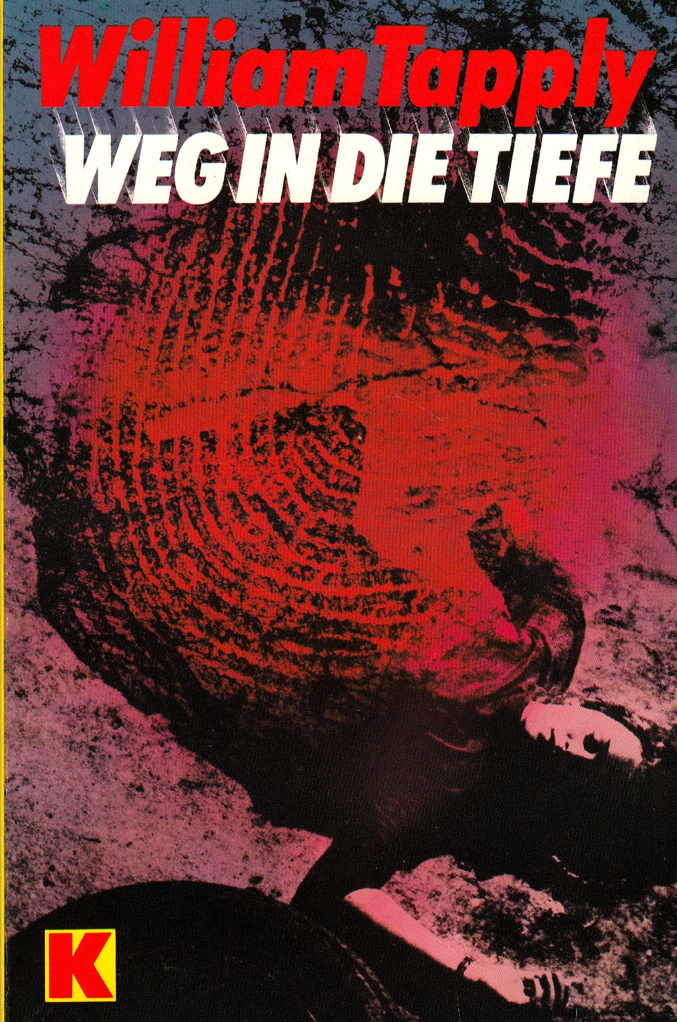 Weg in die Tiefe. Detektivroman. Books
