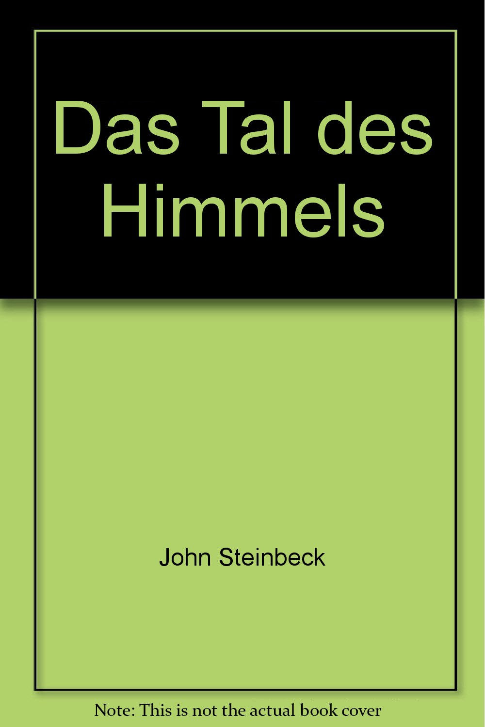 Das Tal des Himmels Contemporary literature Books