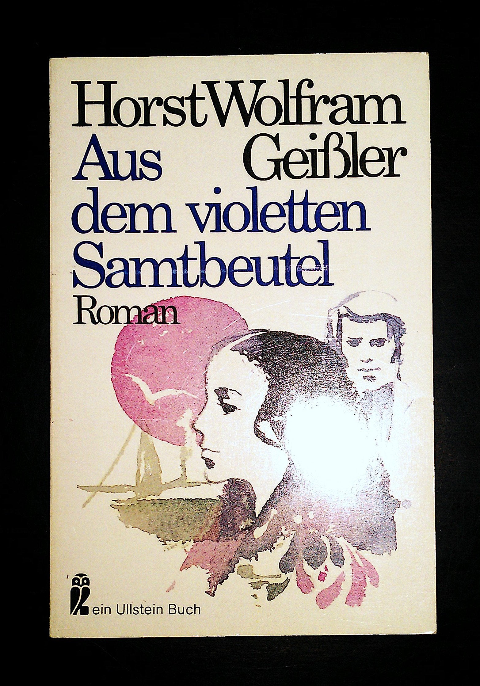 Aus dem violetten Samtbeutel. Eine recht heitere Geschichte vom Bodensee. Books