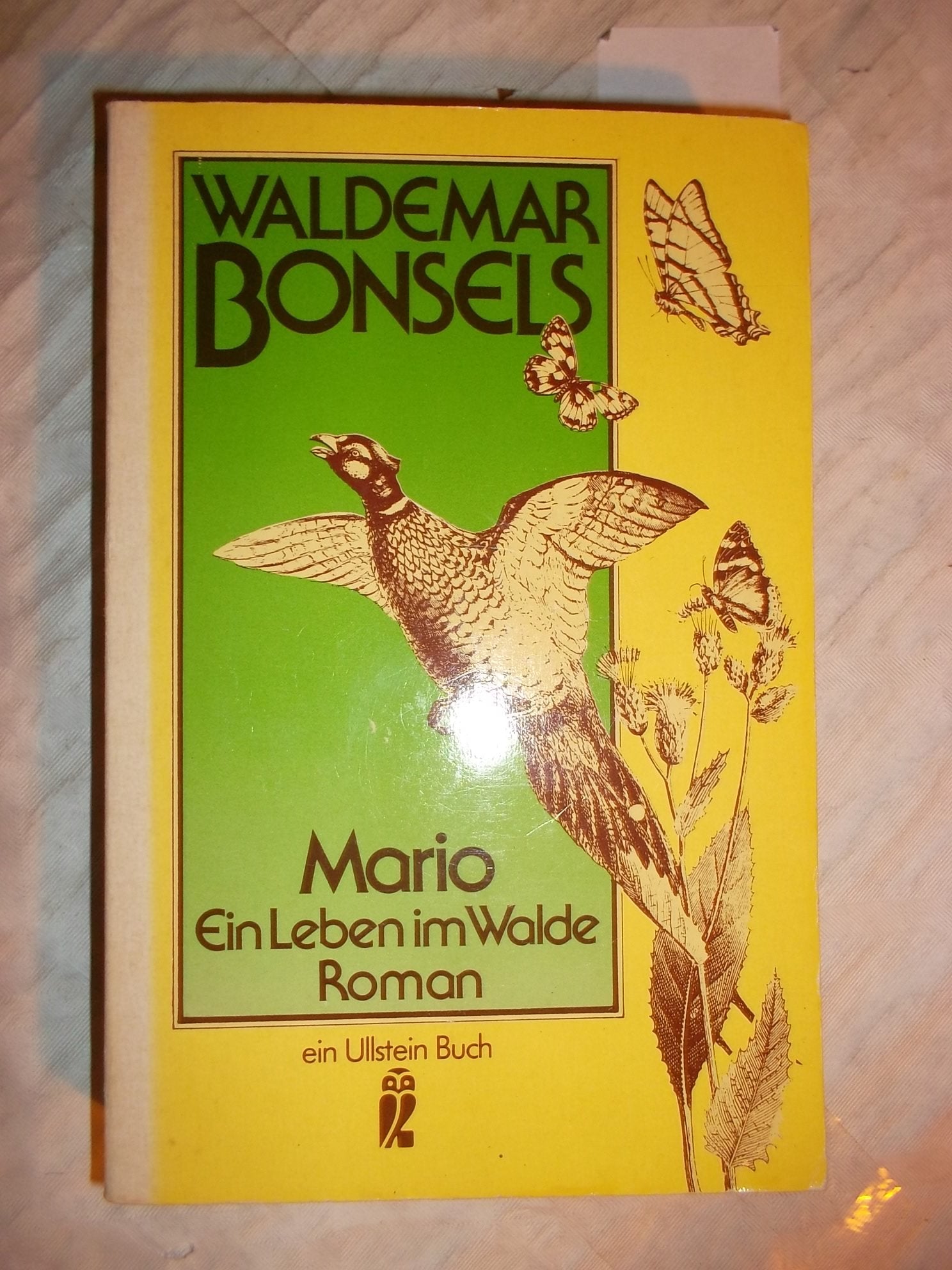 Mario. Ein Leben im Walde. Hobbies & Crafts