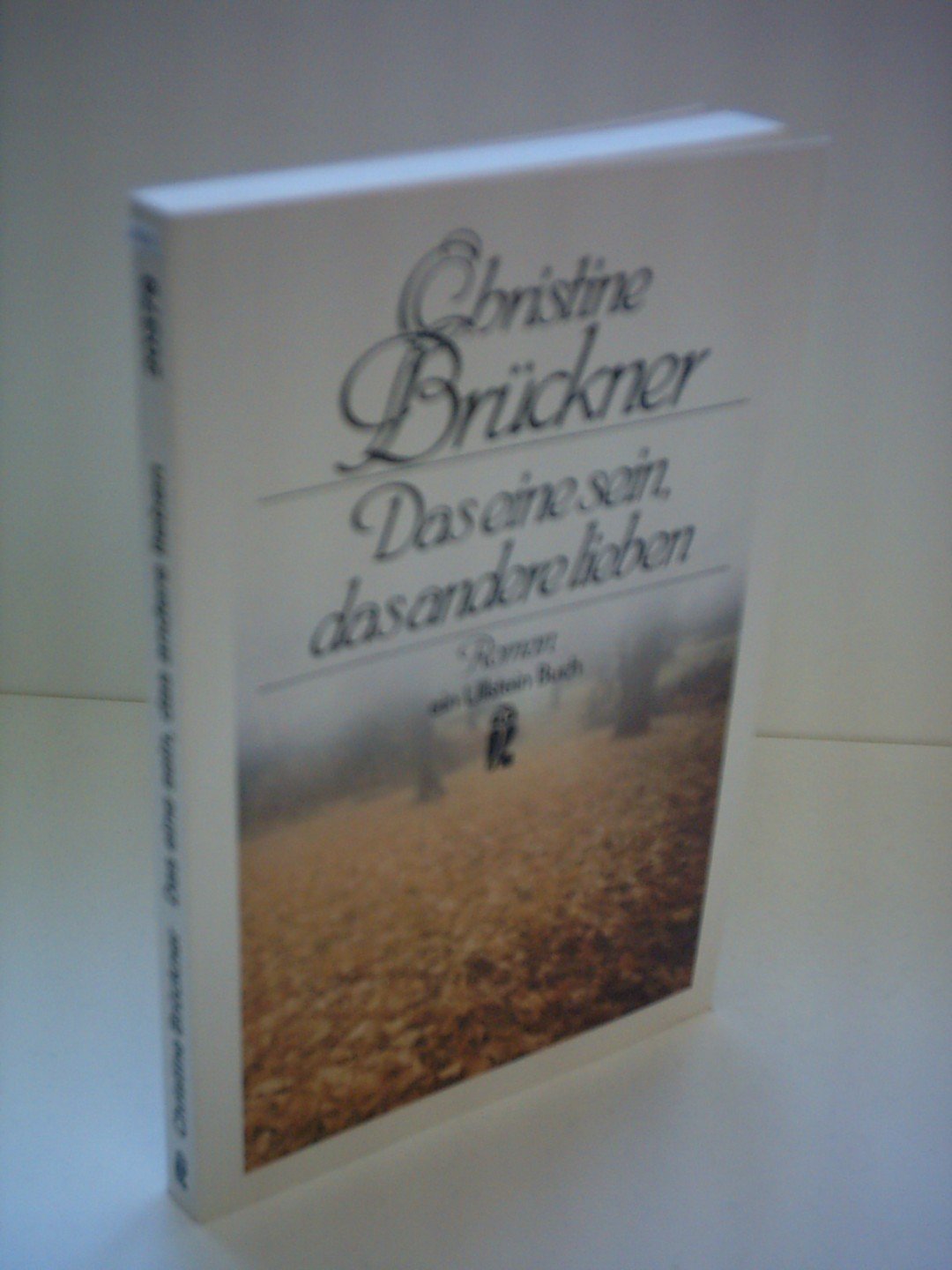 Das Eine Sein, Das Andere Lieben Contemporary literature Books