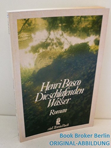 Die schlafenden Wasser. Roman. Contemporary literature Books