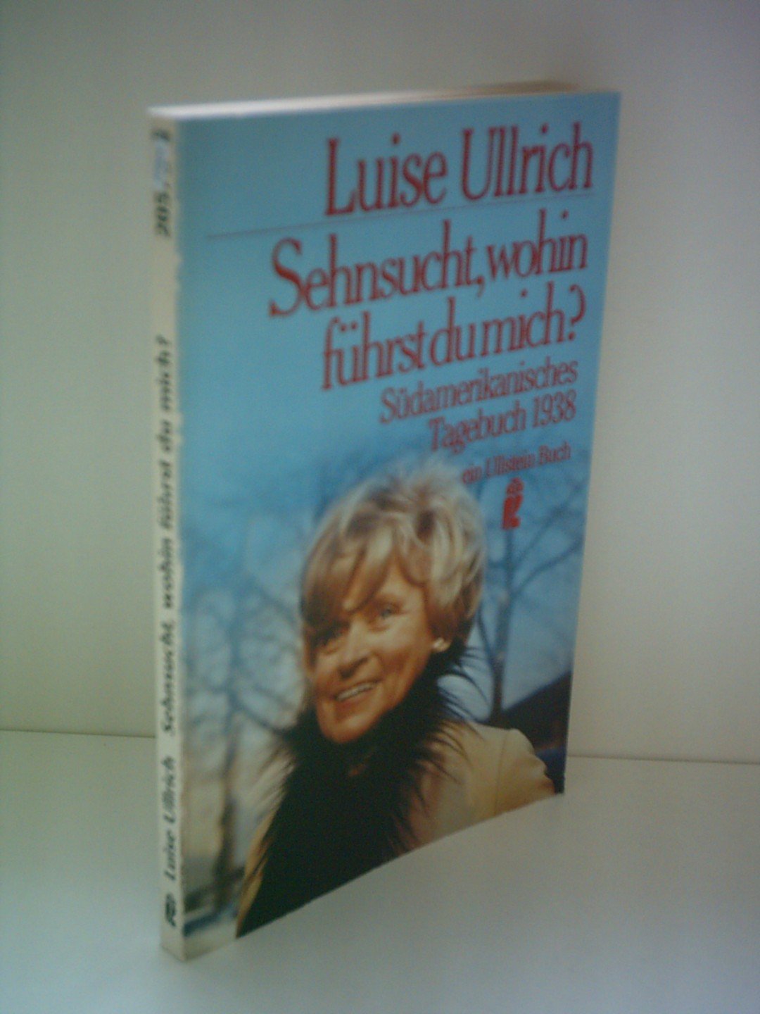 Sehnsucht, wohin führst du mich? Südamerikanisches Tagebuch 1938. Memories