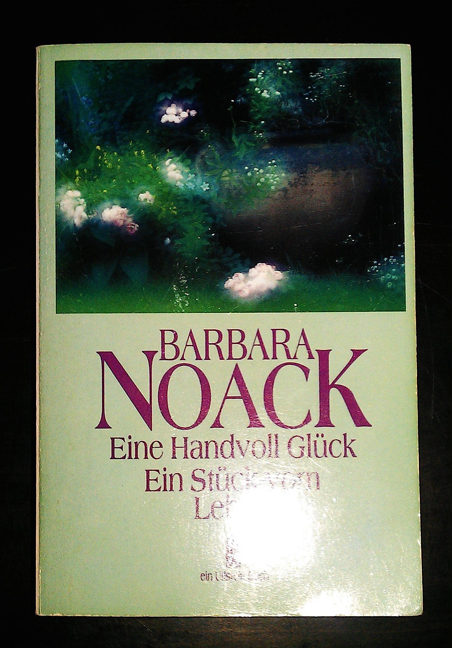 Eine Handvoll Glück / Ein Stück vom Leben. Zwei Romane in einem Band. Books