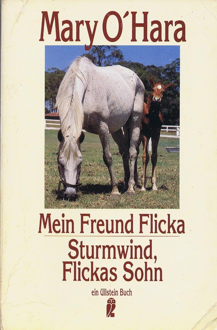 Mein Freund Flicka / Sturmwind, Flickas Sohn. Zwei Romane in einem Band. Books