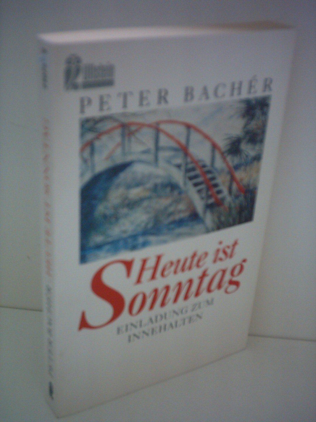 Heute ist Sonntag: Einladung zum Innehalten Contemporary literature