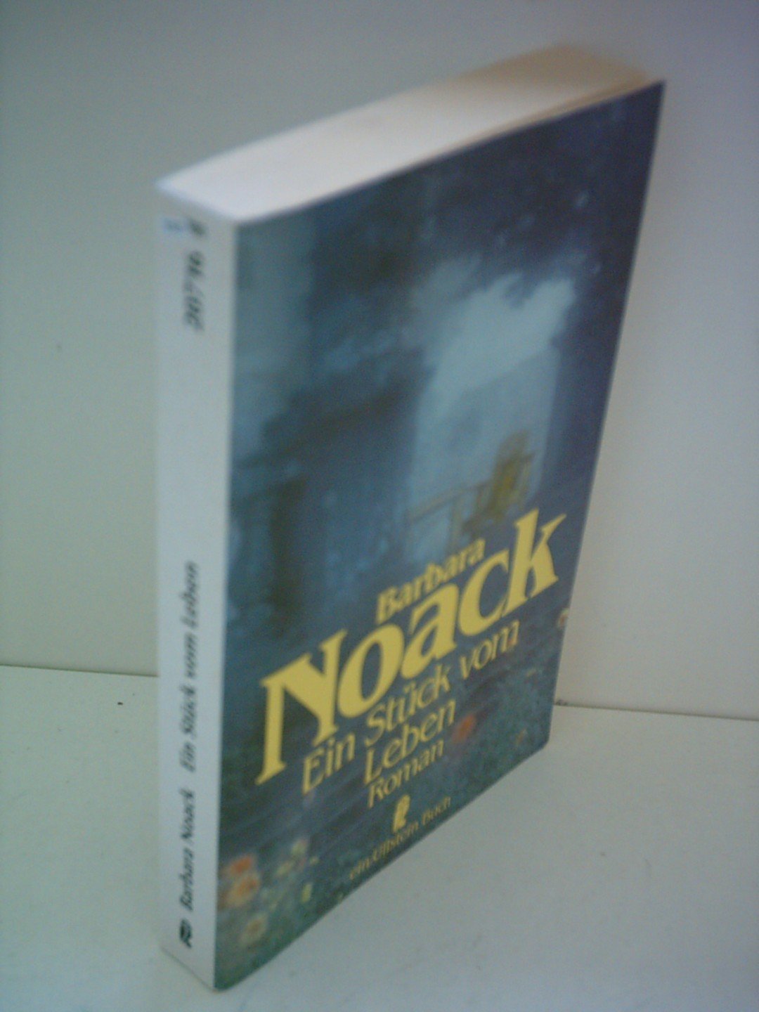 Ein Stück vom Leben Contemporary literature Books
