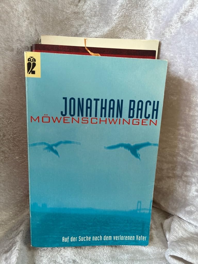 Möwenschwingen: Auf der Suche nach dem verlorenen Vater (Ullstein Taschenbuch) Memories