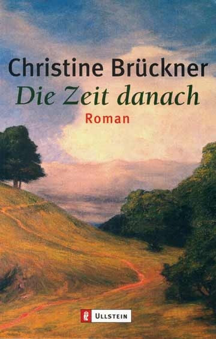 Die Zeit danach (0): Roman Contemporary literature