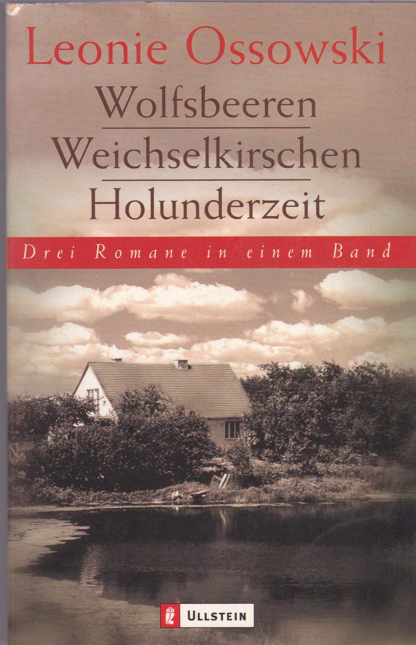 Weichselkirschen /Wolfsbeeren /Holunderzeit Contemporary literature Books