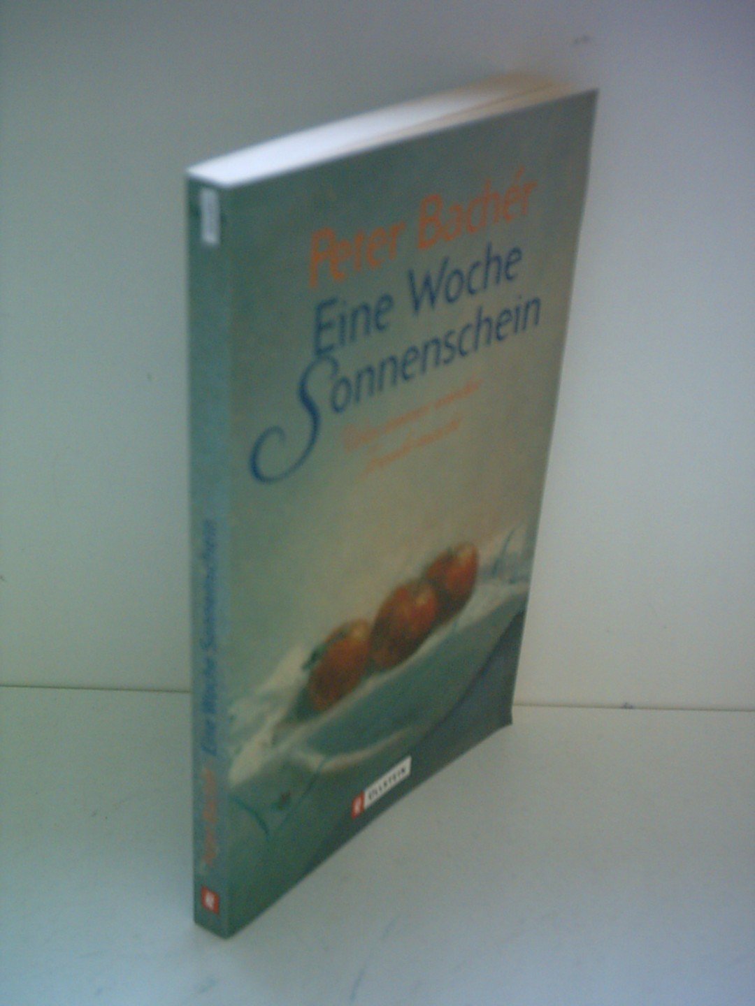 Eine Woche Sonnenschein (Ullstein Taschenbuch) Contemporary literature