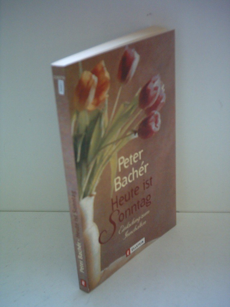 Heute ist Sonntag (Ullstein Taschenbuch) Contemporary literature