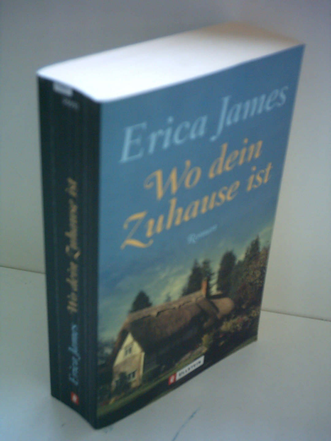 Wo Dein Zuhause ist: Roman. Aus d. Engl. v. Ulrike Bischoff (Ullstein Belletristik) Books