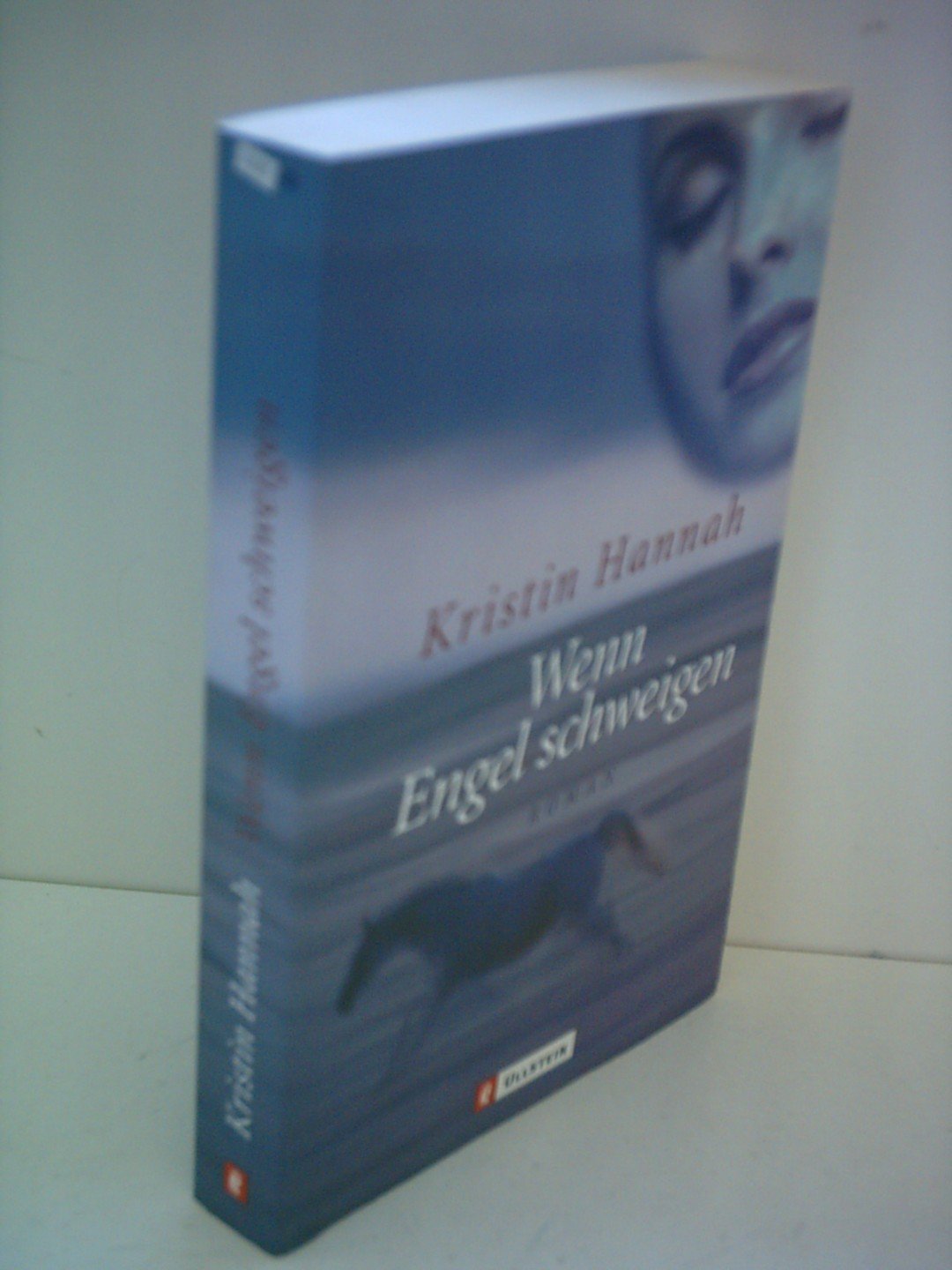Wenn Engel schweigen (Ullstein Belletristik) Contemporary literature