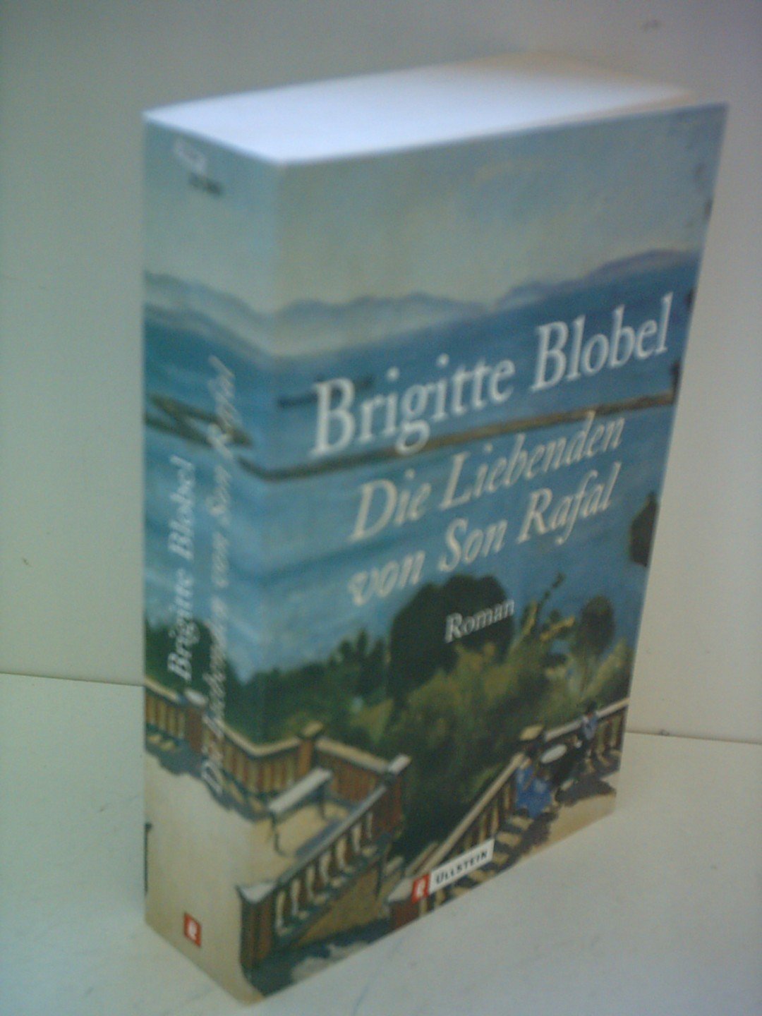 Die Liebenden von San Rafal: Roman. Contemporary literature