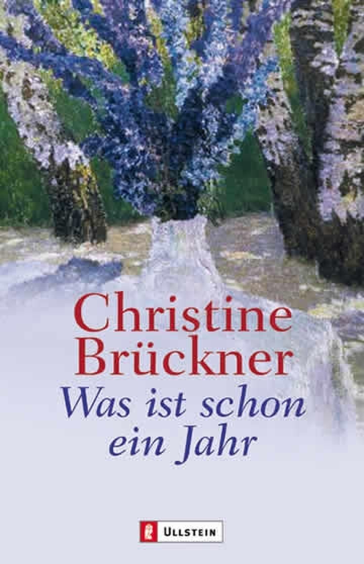 Was ist schon ein Jahr Contemporary literature