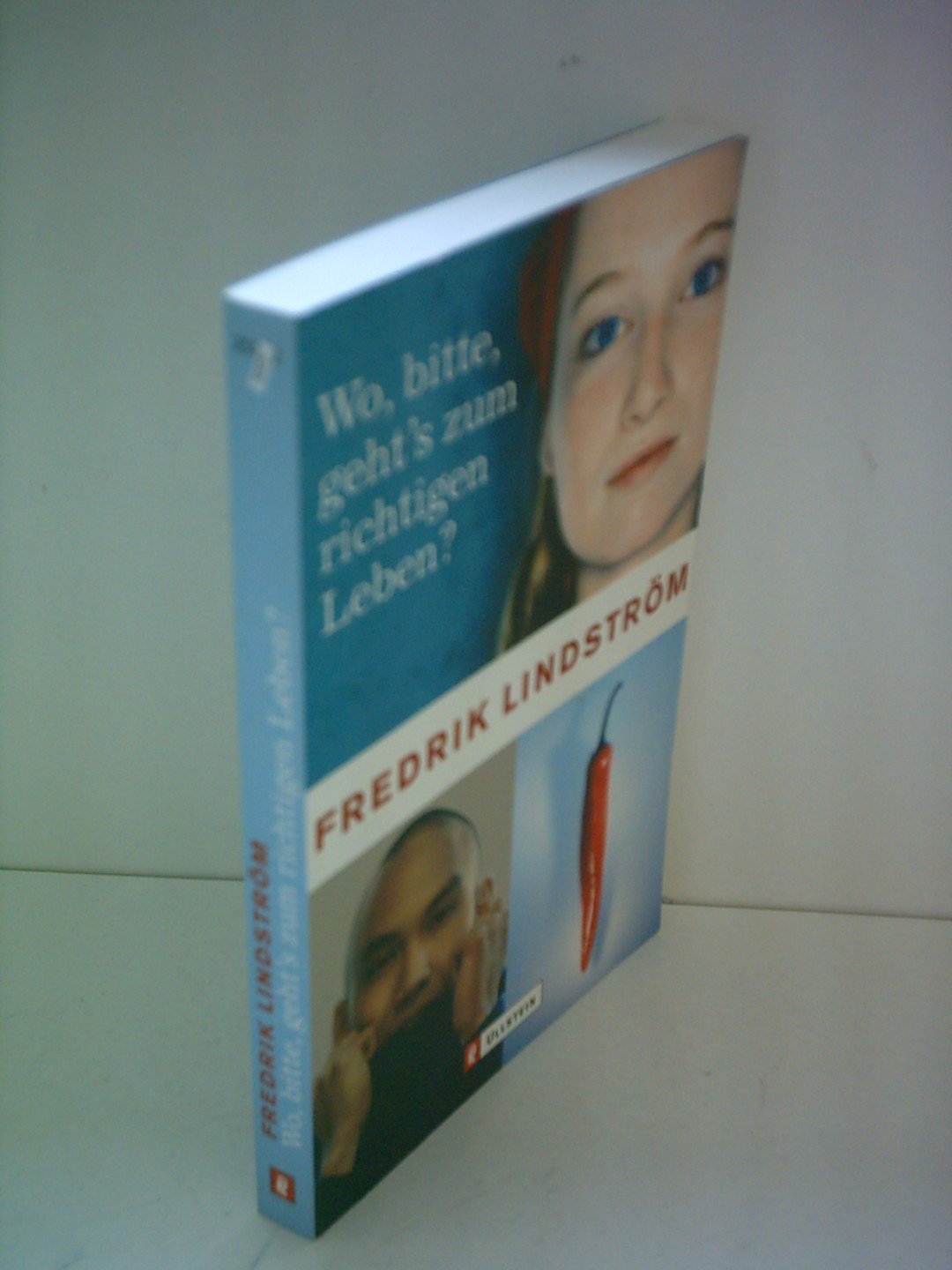 Wo, bitte, geht's zum richtigen Leben? Contemporary literature