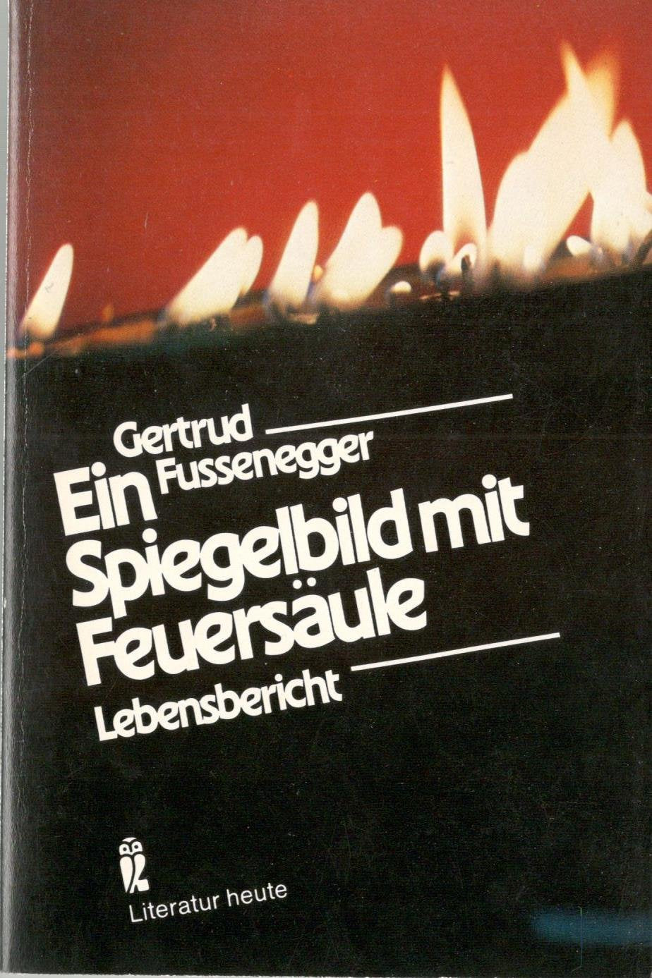 Product Image: Ein Spiegelbild mit Feuersäule. Lebensbericht.
