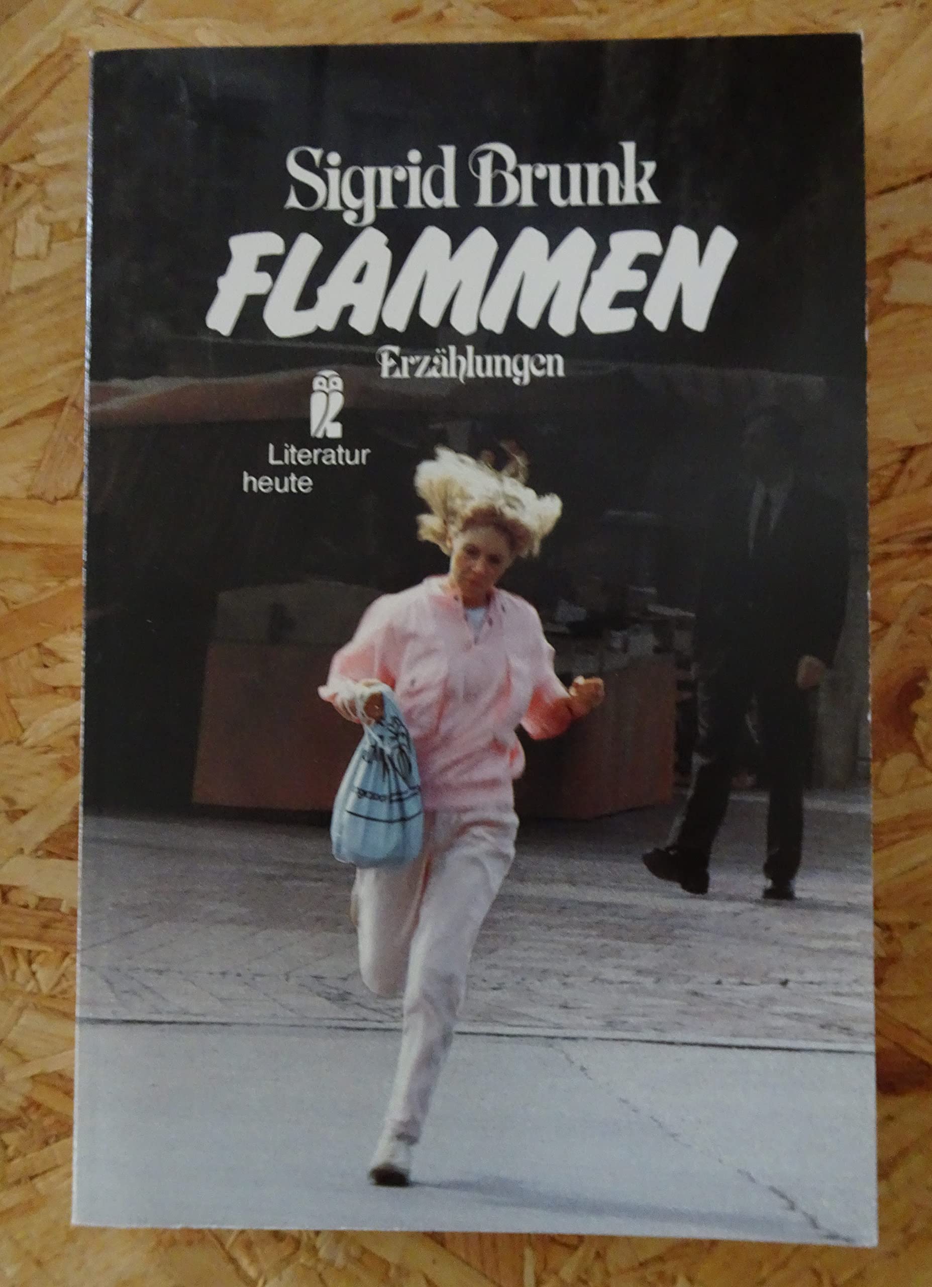 Flammen. Erzählungen. ( Literatur heute). Books