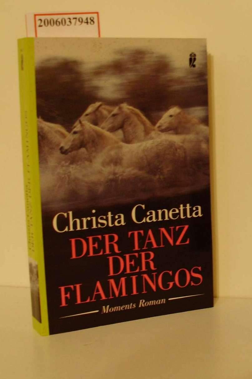 Der Tanz der Flamingos: Roman Contemporary literature