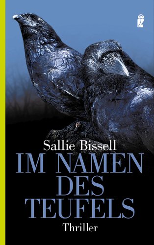 Im Namen des Teufels (Ullstein Taschenbuch) Contemporary literature