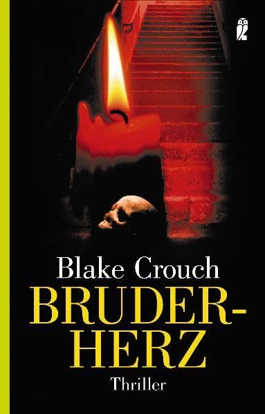 Bruderherz (Ullstein Taschenbuch) Books