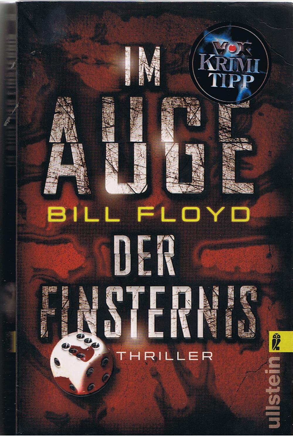 Im Auge der Finsternis: Thriller (Ullstein Belletristik) Contemporary literature