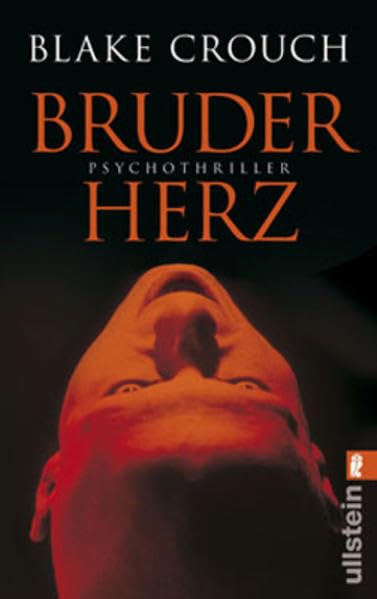 Bruderherz (Ullstein Taschenbuch) Contemporary literature Books
