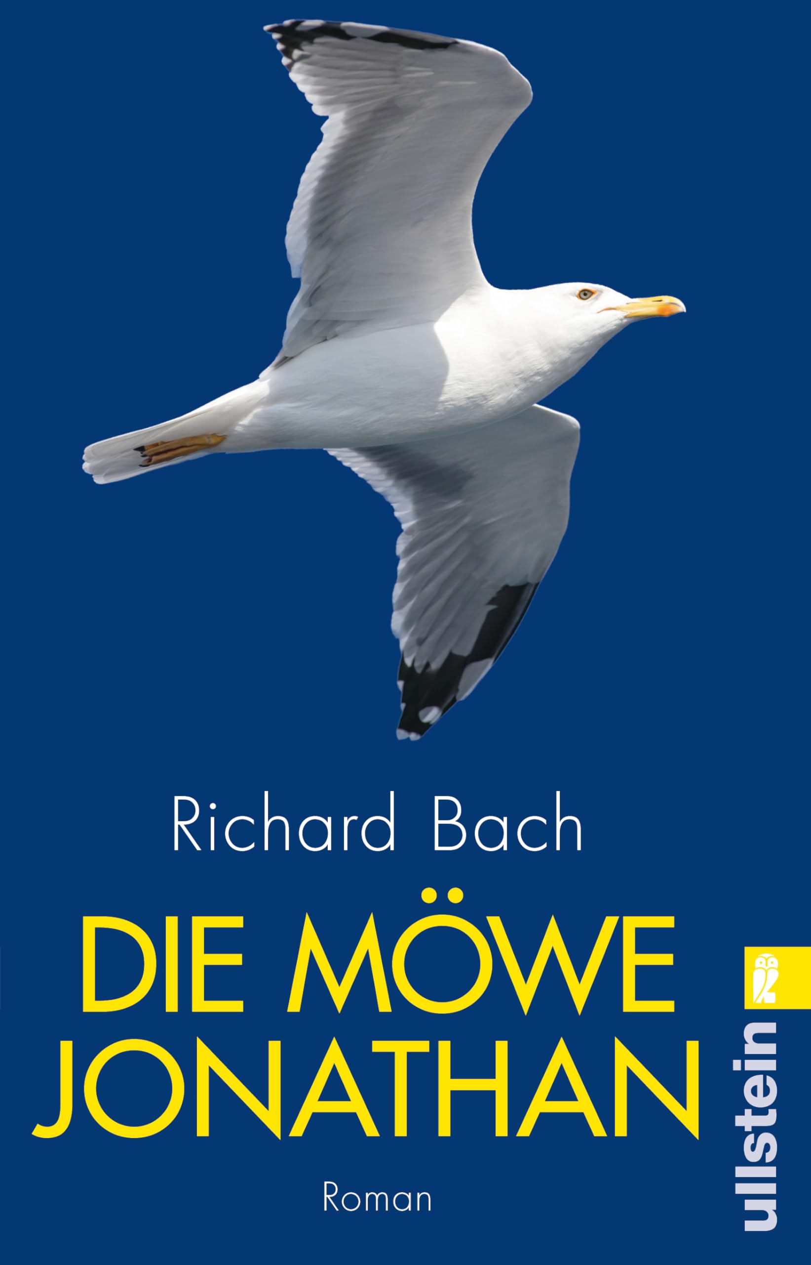 Die Möwe Jonathan Contemporary literature