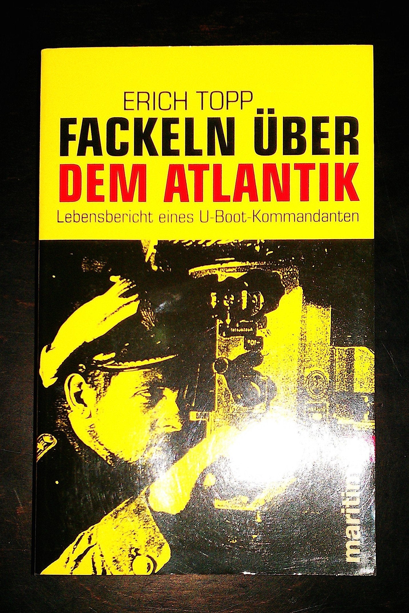 Fackeln über dem Atlantik: Lebensbericht eines U-Boot-Kommandanten Politics & History