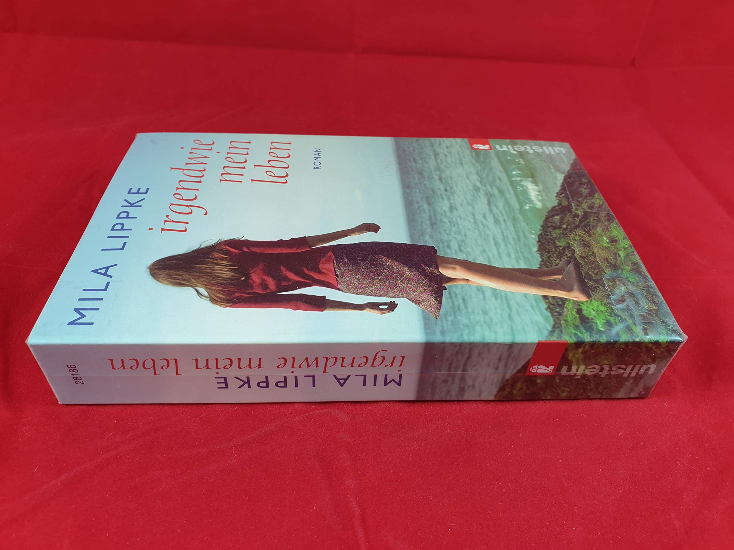 Irgendwie mein Leben Contemporary literature