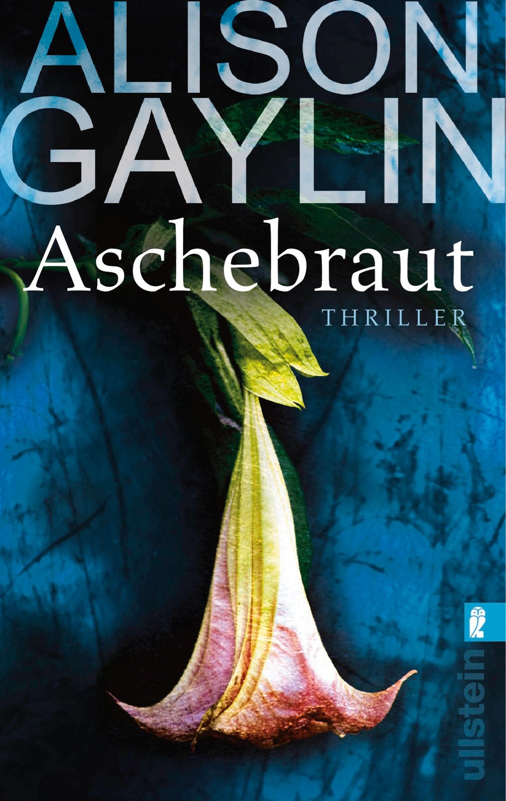 Aschebraut Action & Adventure