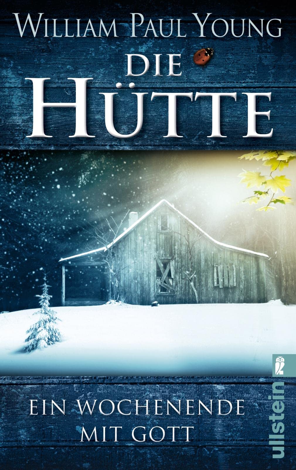 Die Hütte Contemporary literature Books