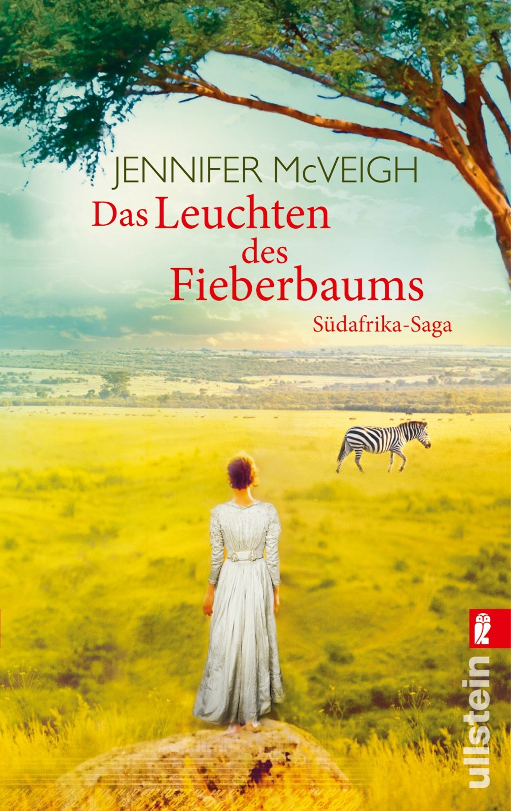 Das Leuchten des Fieberbaums: Roman: Südafrika-Saga. Roman Historical Fiction
