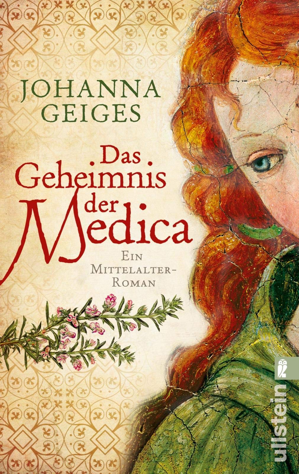 Das Geheimnis der Medica Historical Fiction