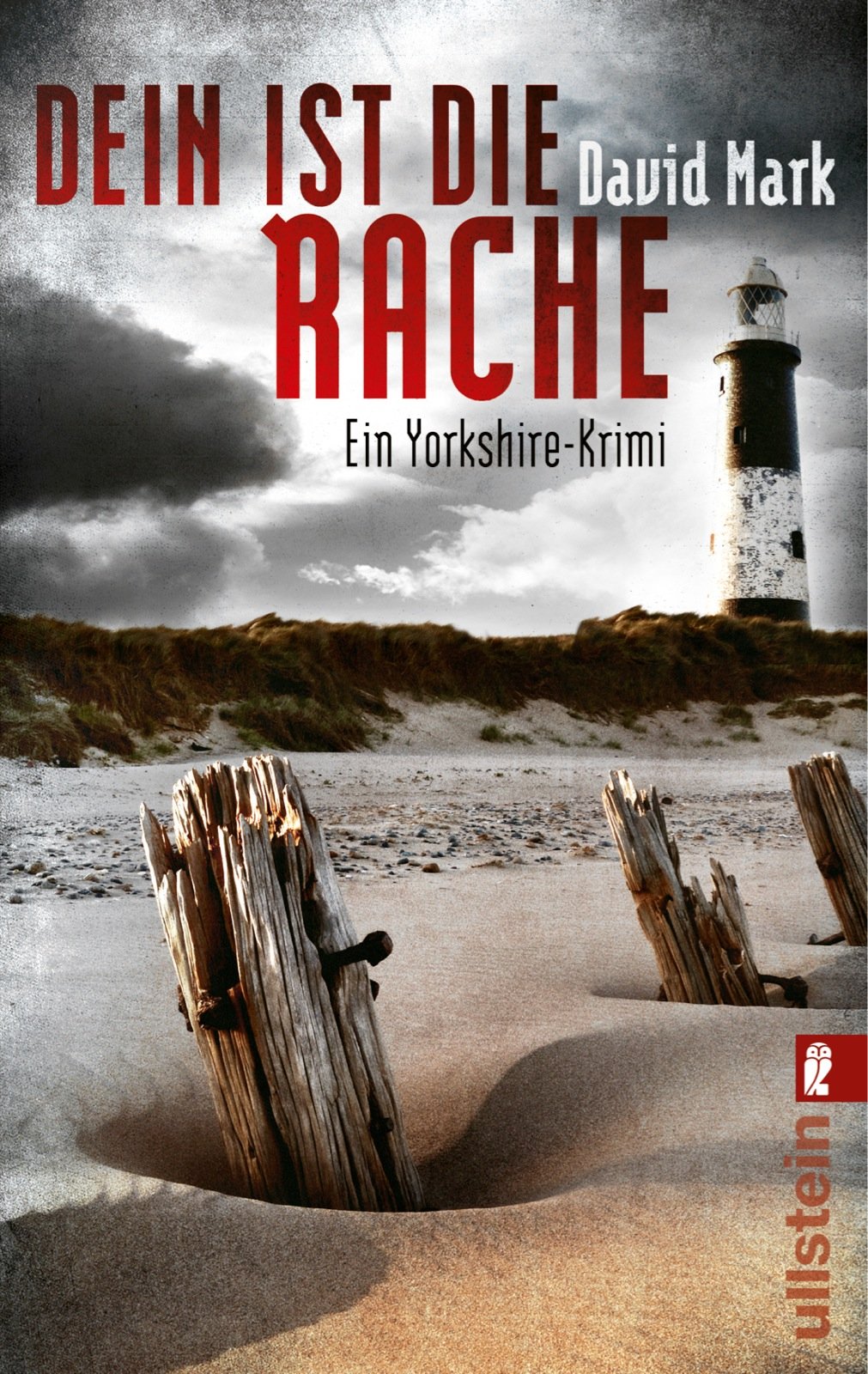 Dein ist die Rache. McAvoys zweiter Fall Contemporary literature