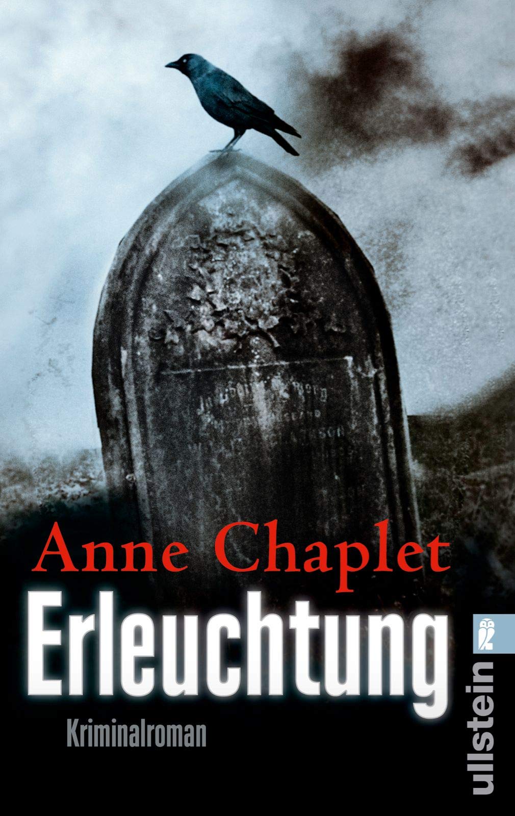 Erleuchtung Contemporary literature Books