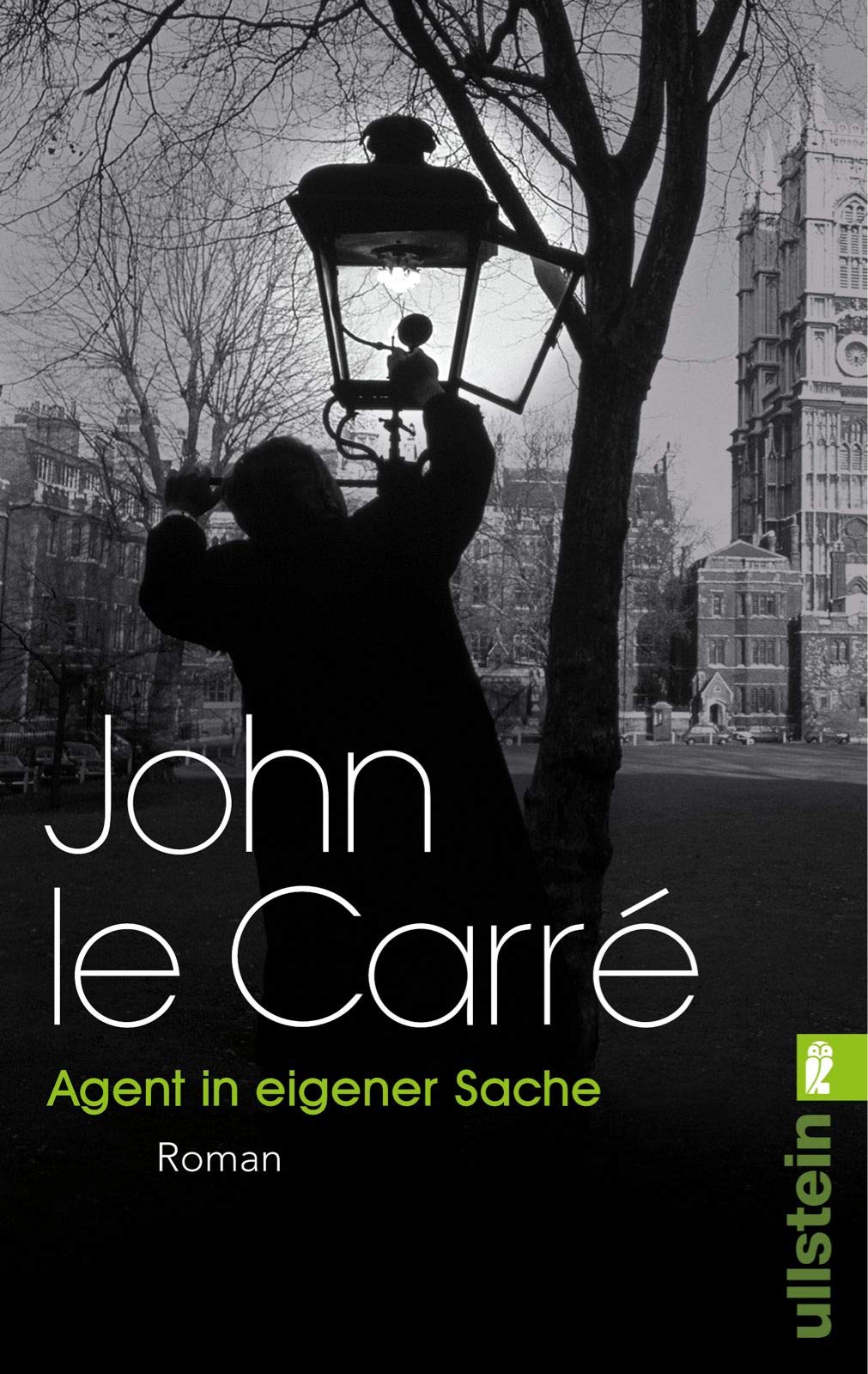 Agent in eigener Sache Contemporary literature Books