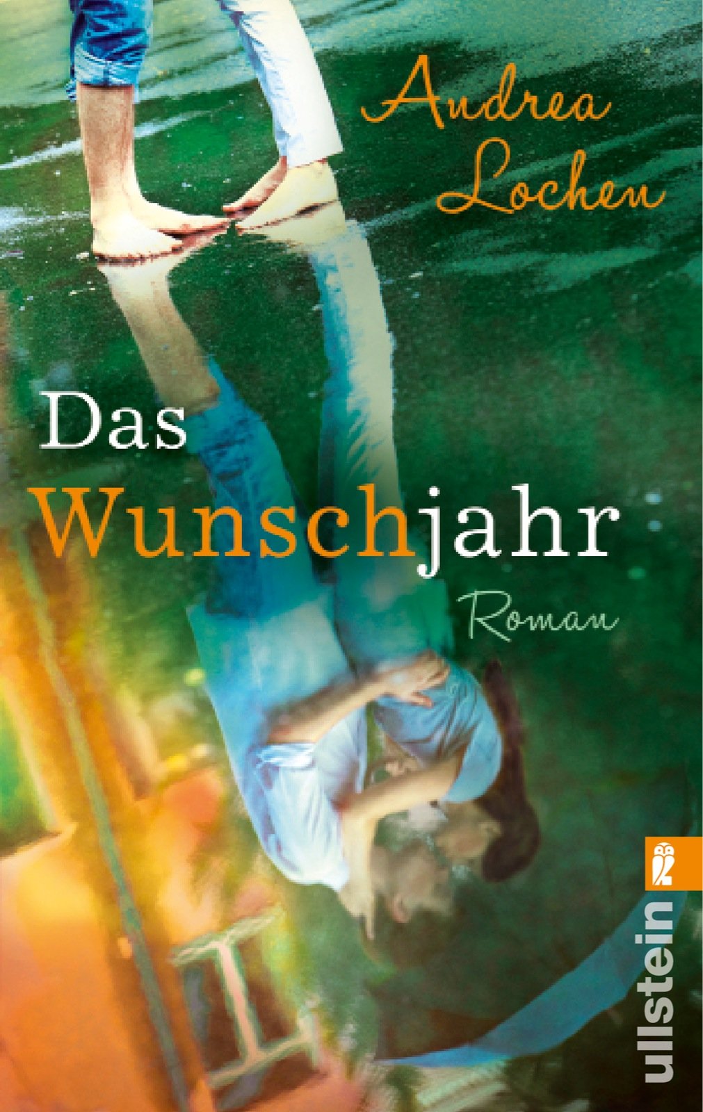 Das Wunschjahr Contemporary literature Books