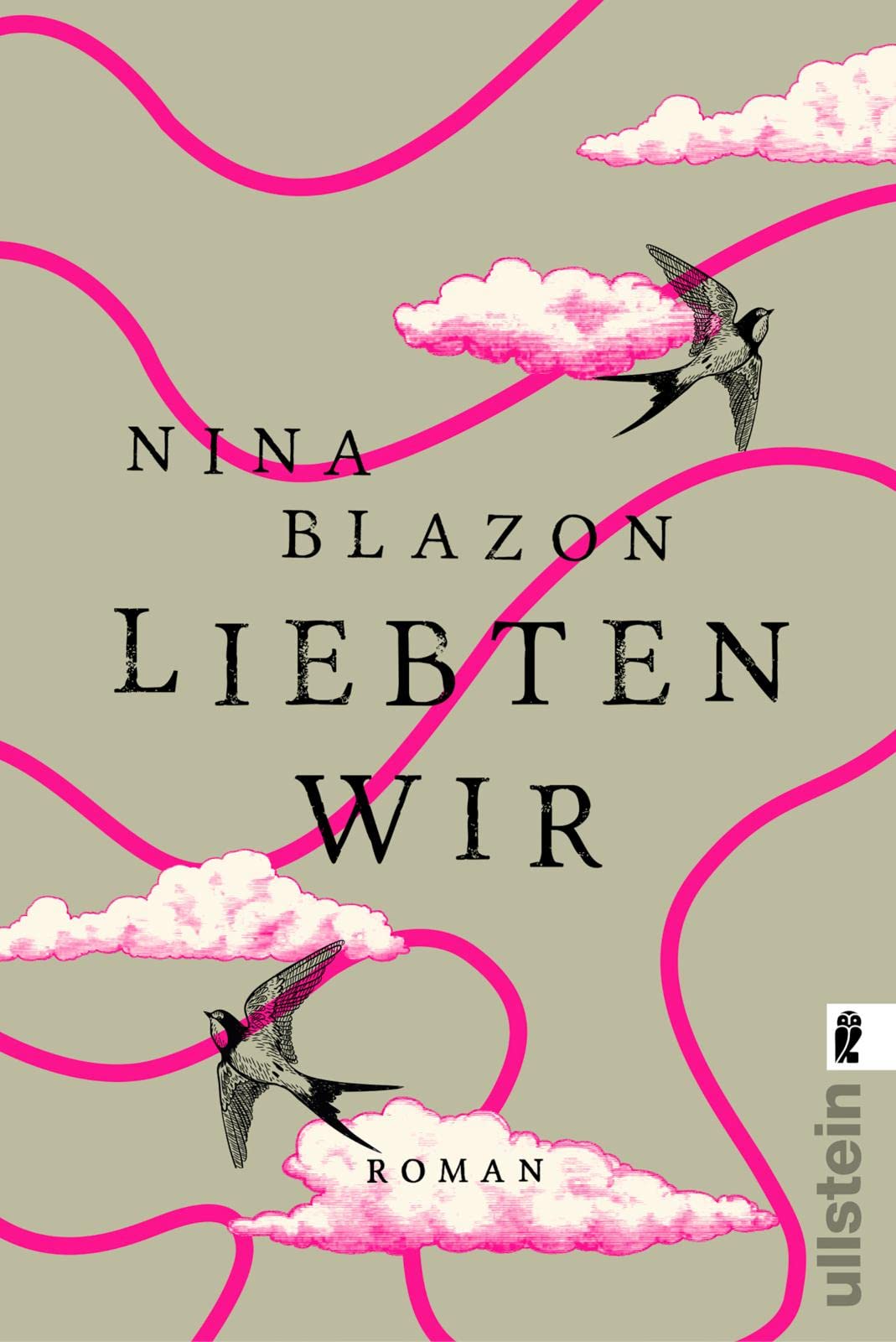Liebten wir Contemporary literature Books