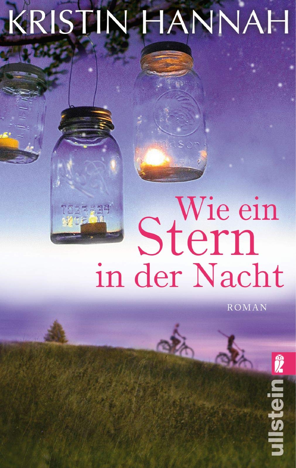 Wie ein Stern in der Nacht Contemporary literature